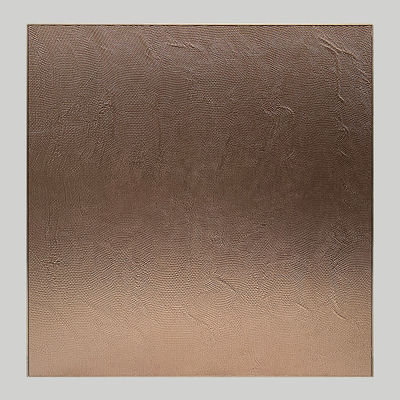 Màu vàng Sơn mài nhôm Modular Cabinet Metal Finish Door